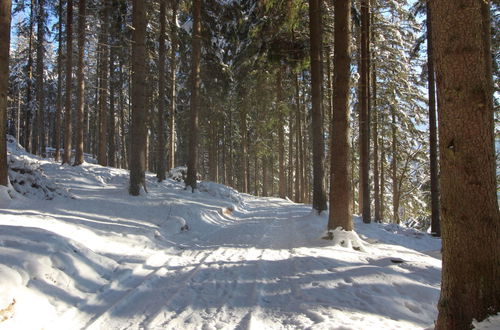 Photo 30 - Appartement en Harrachov avec jardin et terrasse