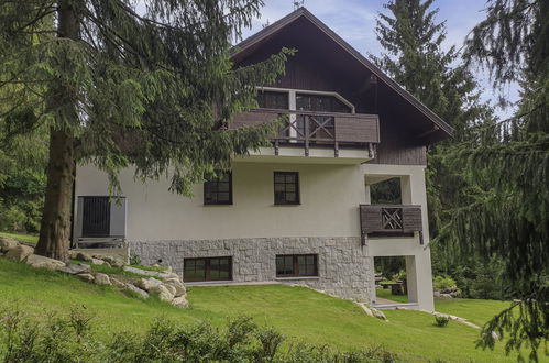 Photo 11 - 8 bedroom House in Harrachov with garden