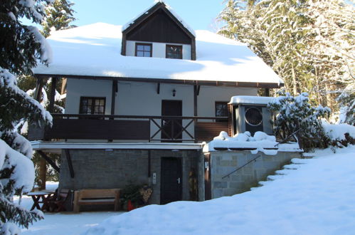 Photo 27 - Appartement en Harrachov avec jardin et terrasse