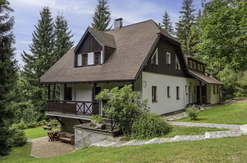 Photo 13 - Appartement en Harrachov avec jardin et terrasse