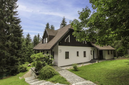 Photo 21 - Appartement en Harrachov avec terrasse