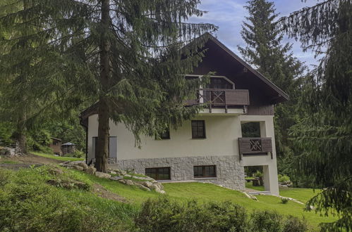 Photo 20 - Appartement en Harrachov avec jardin et terrasse