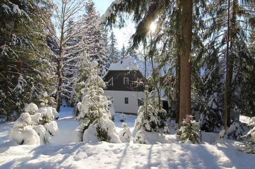 Foto 36 - Haus mit 8 Schlafzimmern in Harrachov mit garten