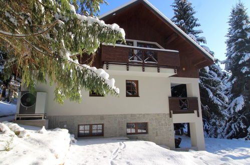 Foto 35 - Casa de 8 quartos em Harrachov com jardim