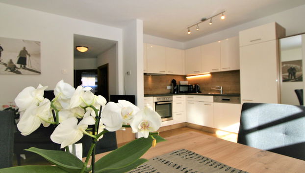 Apartment mit 2 Schlafzimmern in Fügen mit garten - Foto 5