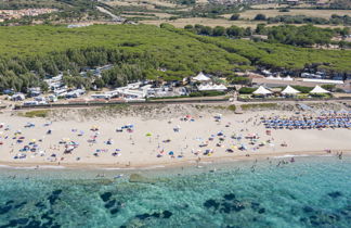 Foto 3 - Casa con 2 camere da letto a Aglientu con piscina e vista mare