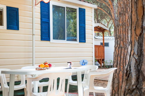 Foto 1 - Casa con 2 camere da letto a Aglientu con piscina e giardino