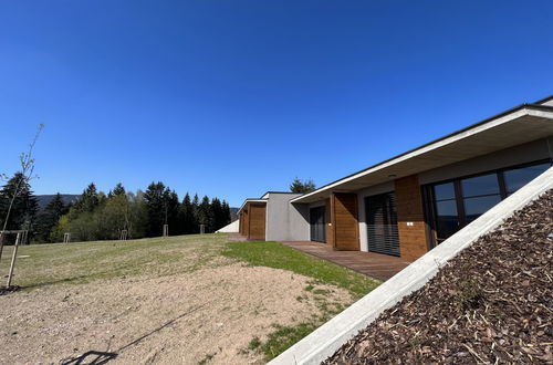 Photo 12 - 2 bedroom House in Říčky v Orlických horách with terrace