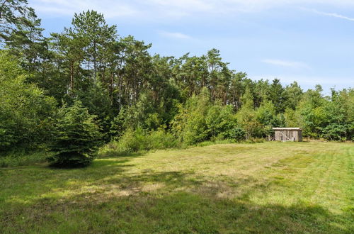 Foto 6 - Casa de 3 quartos em Sæby com terraço