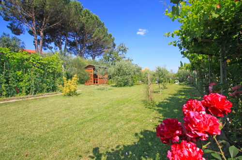 Foto 54 - Casa de 8 quartos em Montelupo Fiorentino com piscina privada e jardim