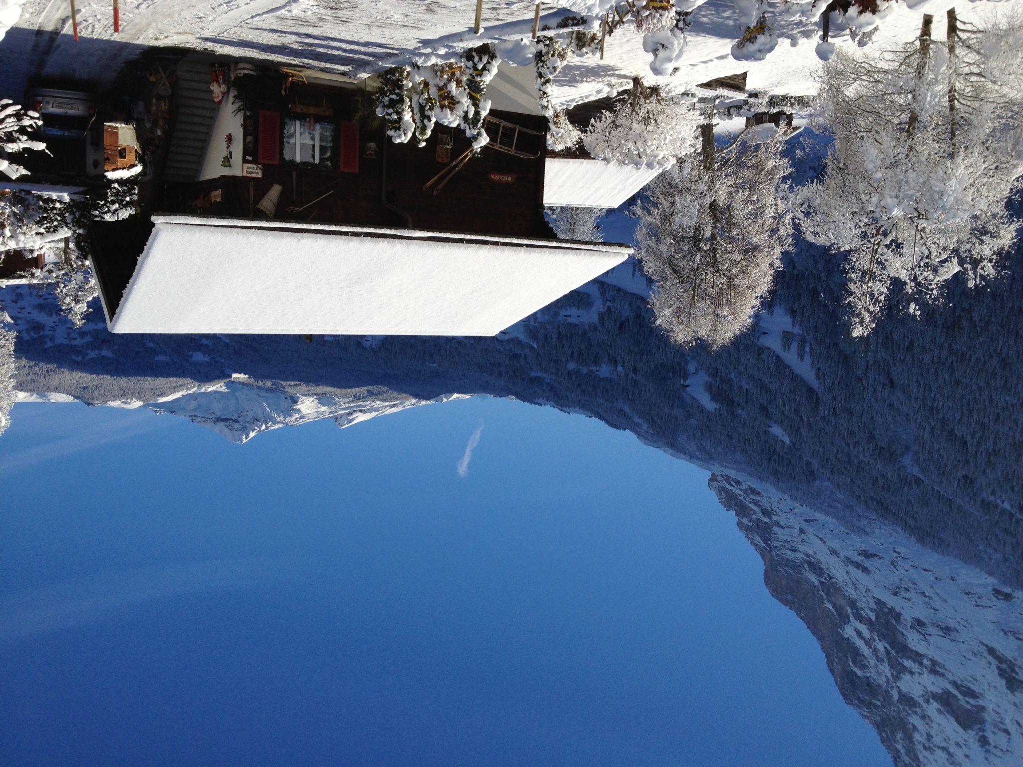 Foto 23 - Apartamento em Grindelwald com jardim