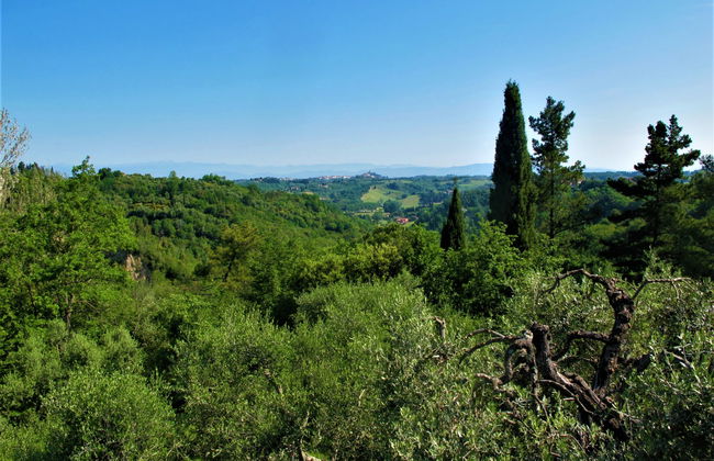 5 bedroom House in San Miniato with private pool and garden - Photo 38