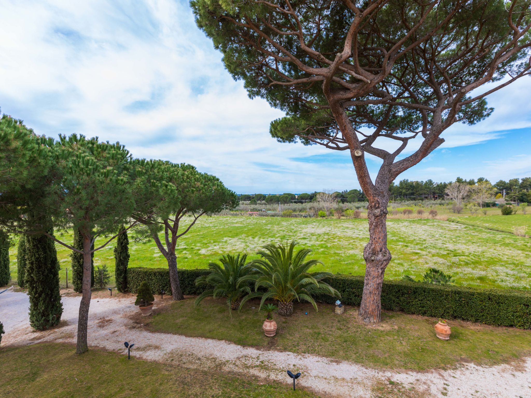 Foto 33 - Appartamento con 2 camere da letto a Cecina con piscina e giardino