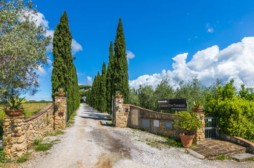 Foto 34 - Appartamento con 2 camere da letto a Cecina con piscina e giardino