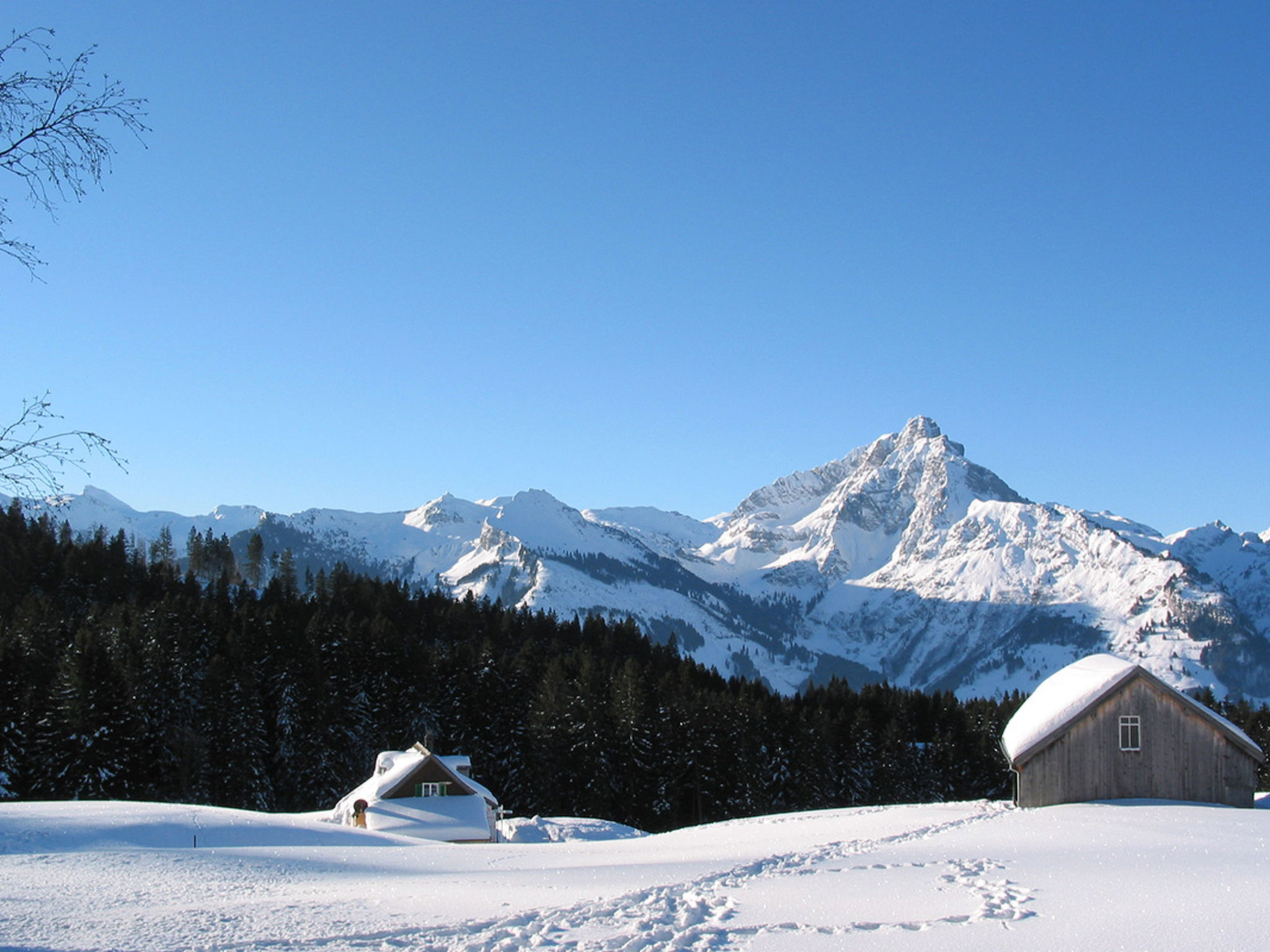 Photo 18 - Appartement de 1 chambre à Amden avec vues sur la montagne