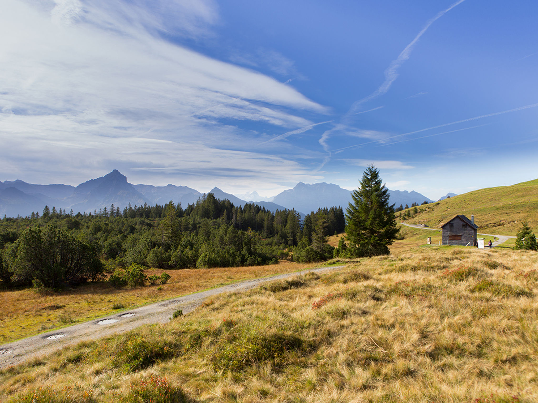 Photo 17 - 1 bedroom Apartment in Amden with mountain view