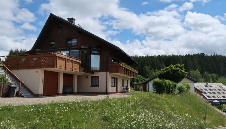 Foto 1 - Apartamento de 2 quartos em Furtwangen im Schwarzwald com terraço e vista para a montanha