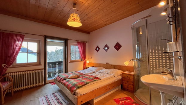 Apartamento de 5 quartos em Ramsau am Dachstein com jardim e sauna - Foto 5