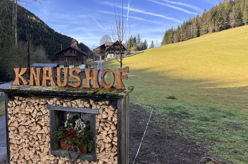 Foto 2 - Appartamento con 5 camere da letto a Ramsau am Dachstein con giardino e sauna