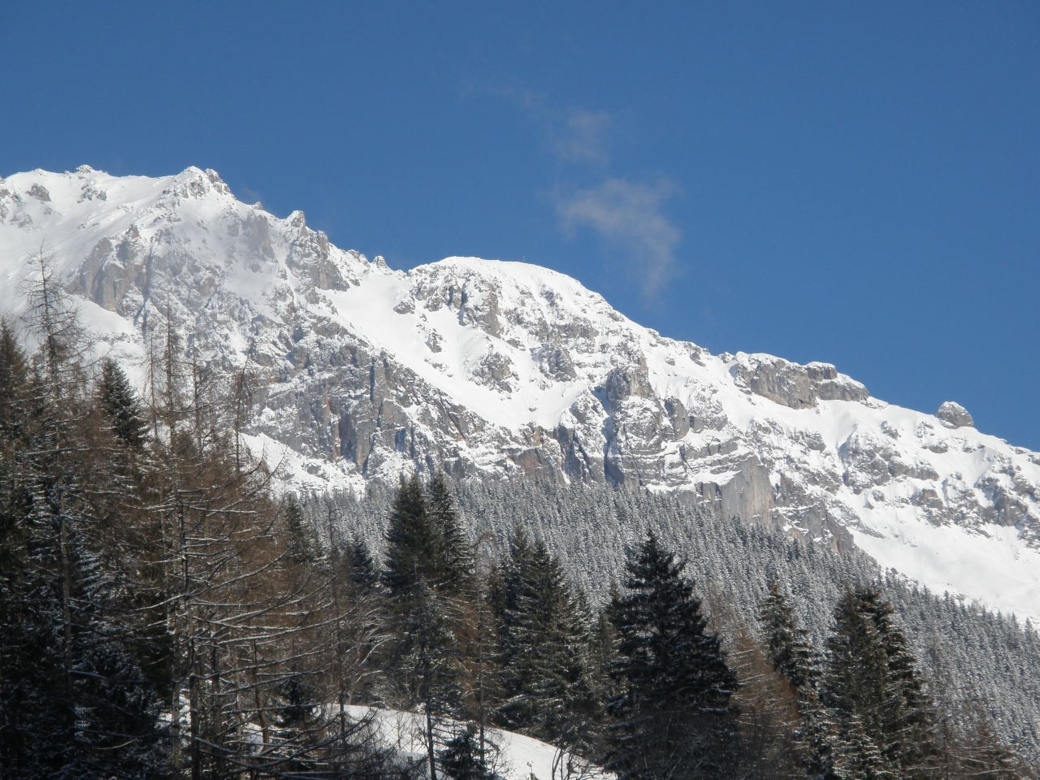 Foto 33 - Apartamento de 5 quartos em Ramsau am Dachstein com jardim e sauna