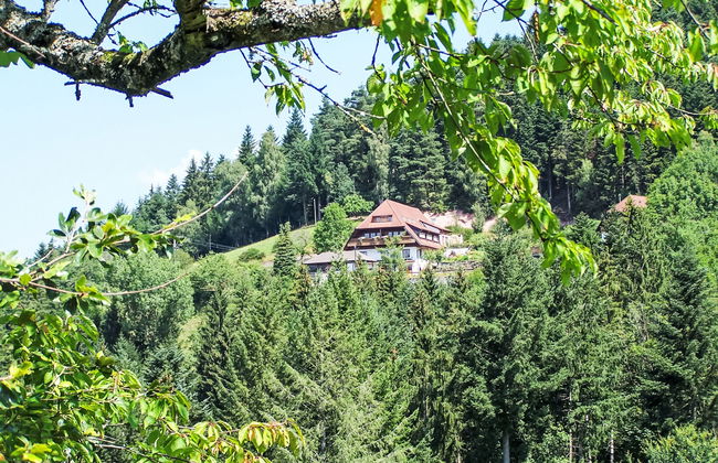 Apartamento de 2 quartos em Schiltach com jardim - Foto 13