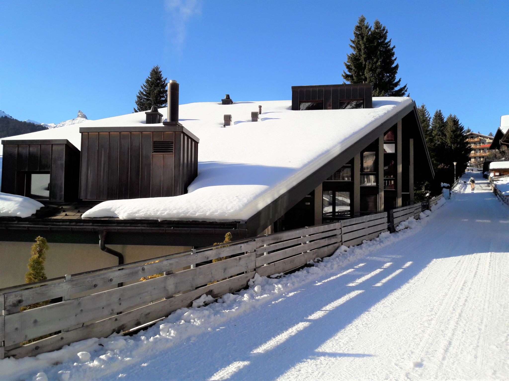 Photo 23 - Appartement de 2 chambres à Lauterbrunnen avec sauna