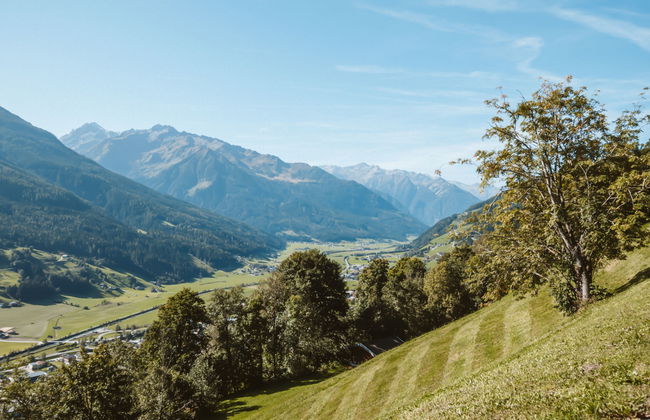 Wiedhölzl - Foto 37