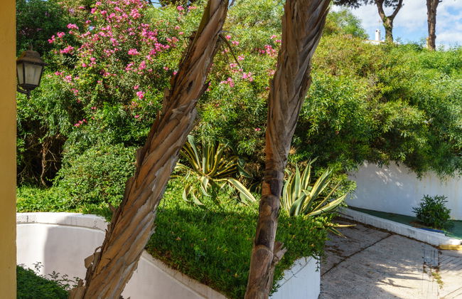 Apartamento de 1 quarto em Marbella com piscina e jardim - Foto 26