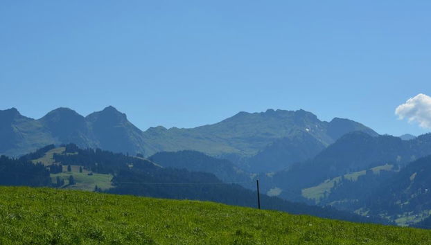 Apartamento de 2 quartos em Saanen - Foto 4