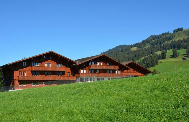 Apartamento de 1 quarto em Saanen - Foto 3