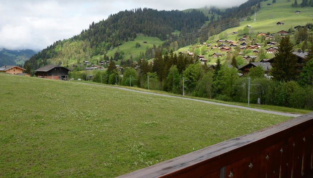 Apartamento de 2 quartos em Saanen - Foto 5