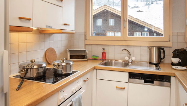 Appartamento con 2 camere da letto a Grindelwald con giardino - Foto 5