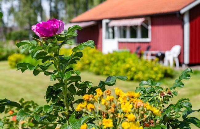 Casa de 3 quartos em Karlstad com jardim e terraço - Foto 24