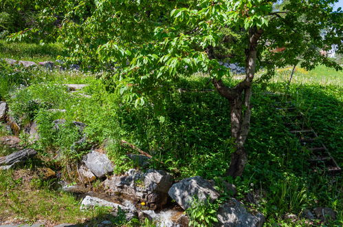 Foto 39 - Casa de 4 quartos em Nendaz com jardim e vista para a montanha