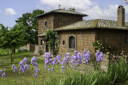 Foto 2 - Casa de 3 quartos em Vetralla com piscina privada e jardim