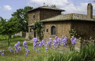 Foto 2 - Casa de 3 quartos em Vetralla com piscina privada e vista para a montanha