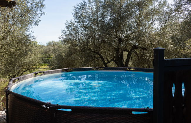 Haus mit 4 Schlafzimmern in Vetralla mit privater pool und garten - Foto 19