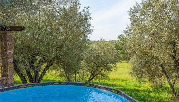 4 bedroom House in Vetralla with private pool and garden - Photo 3