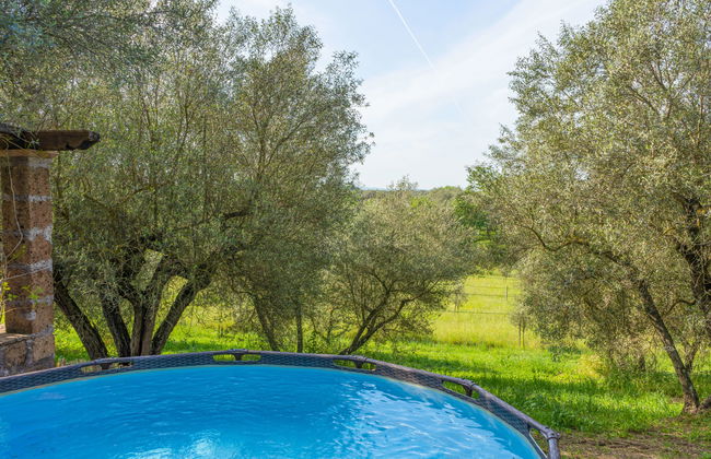 Haus mit 4 Schlafzimmern in Vetralla mit privater pool und garten - Foto 3