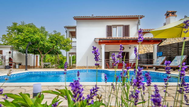 Haus mit 4 Schlafzimmern in Sveta Nedelja mit privater pool und garten - Foto 2