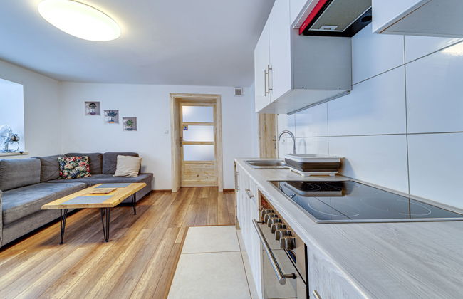 Apartamento de 1 quarto em Wisła com jardim - Foto 15