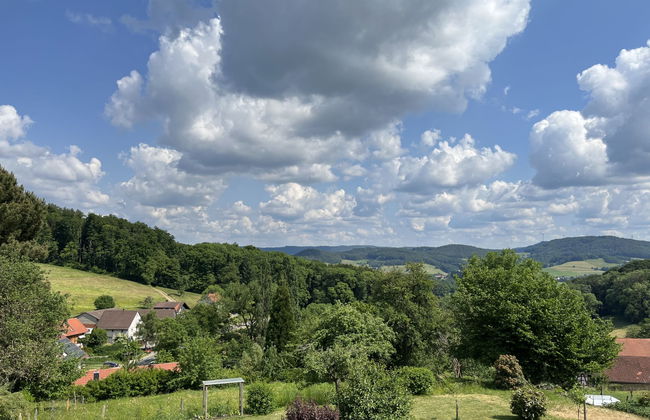 Apartamento de 2 quartos em Reichelsheim (Odenwald) com jardim - Foto 25