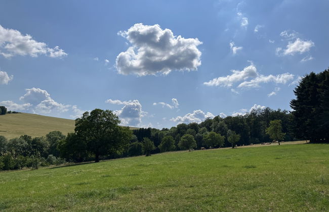 Apartamento de 2 quartos em Reichelsheim (Odenwald) com jardim - Foto 26