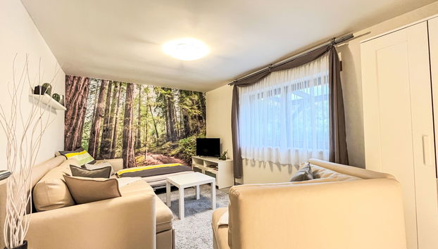Apartment mit 2 Schlafzimmern in Reichelsheim (Odenwald) mit garten - Foto 4