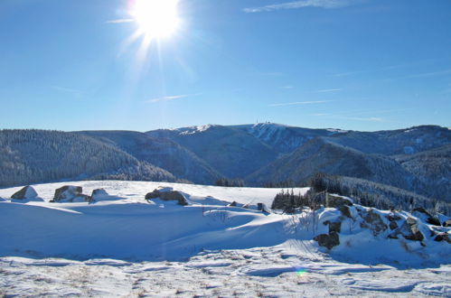 Photo 30 - 2 bedroom Apartment in Hinterzarten with terrace and mountain view