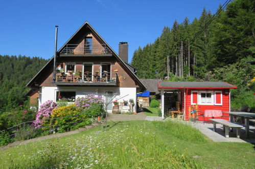 Foto 12 - Appartamento con 2 camere da letto a Hinterzarten con terrazza e vista sulle montagne