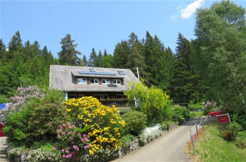 Photo 13 - 2 bedroom Apartment in Hinterzarten with terrace and mountain view