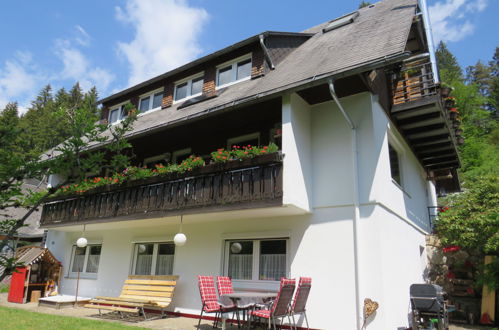 Foto 1 - Apartamento de 2 quartos em Hinterzarten com terraço e vista para a montanha