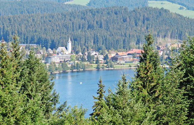 Apartment mit 2 Schlafzimmern in Hinterzarten mit garten und terrasse - Foto 20