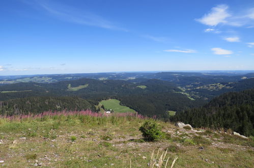 Photo 20 - 2 bedroom Apartment in Hinterzarten with terrace and mountain view